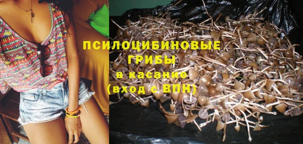 шишки Балахна