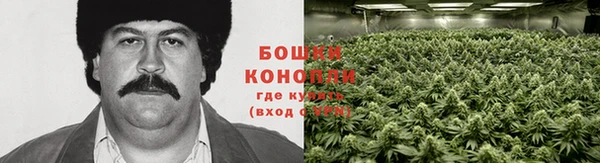 шишки Балахна