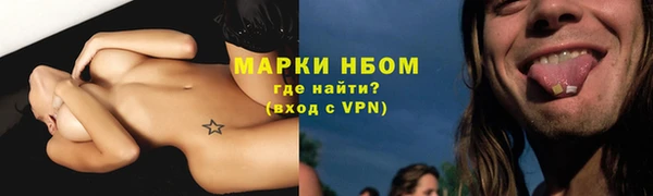 шишки Балахна