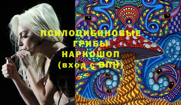 шишки Балахна