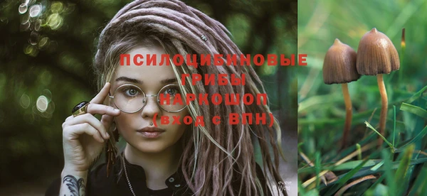 шишки Балахна