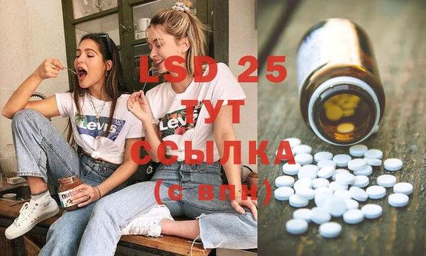 шишки Балахна