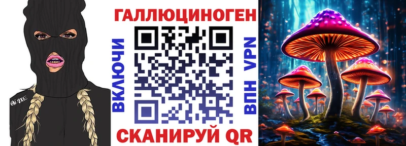 где найти наркотики даркнет телеграм Галлюциногенные грибы ЛСД Долгопрудный
